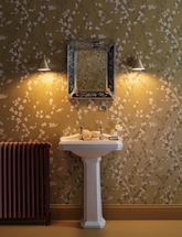 David Hunt Lighting Avon Butter Brass Bathroom Wall Light IP44